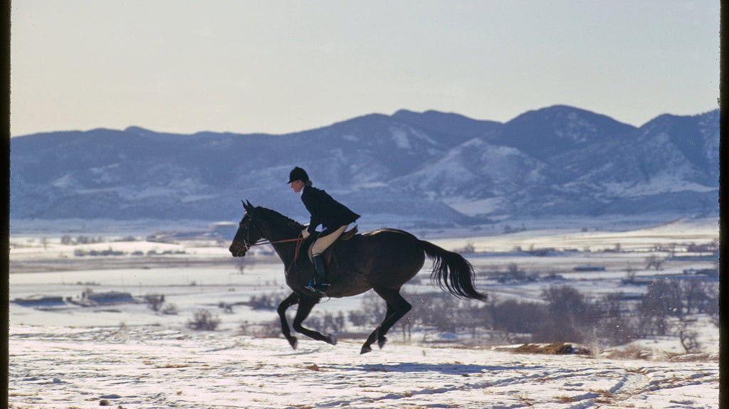 Volume 11: Windswept Grace – The Equestrian Elegance of Toni Frissell