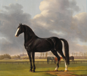 Volume 17: The Anatomy of Speed – Anthony Oberman’s De Vlugge and the Art of Quiet Distinction