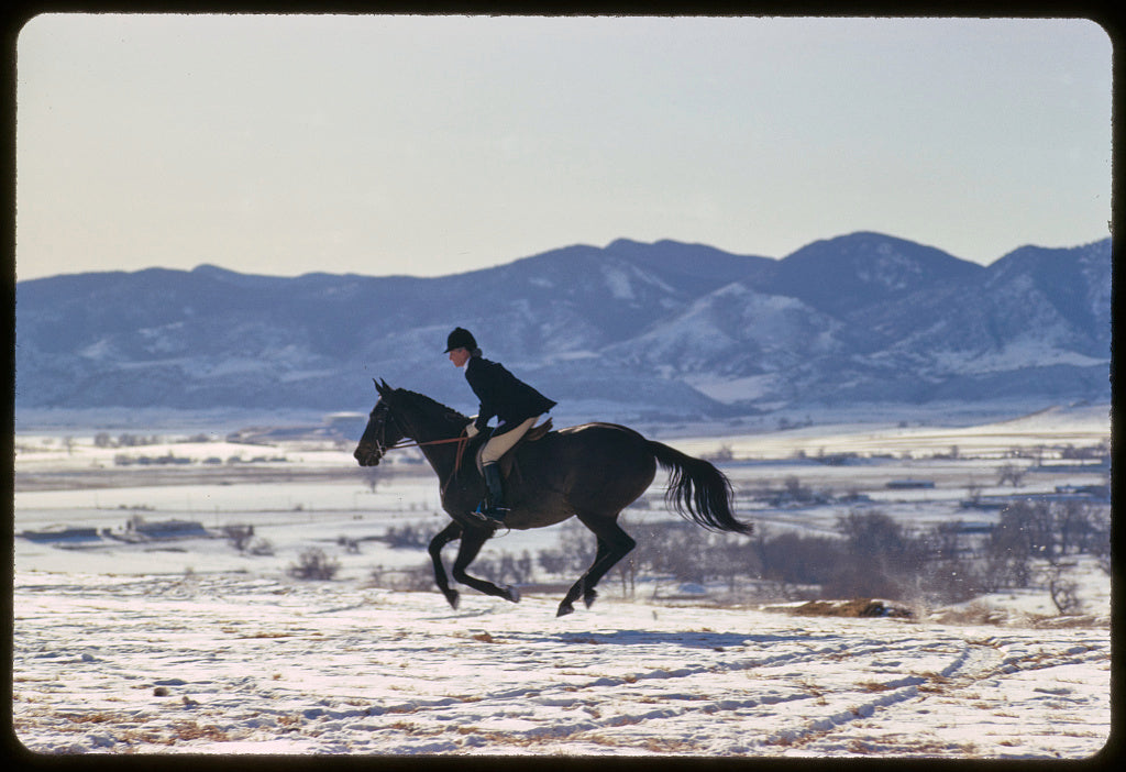 Volume 11: Windswept Grace – The Equestrian Elegance of Toni Frissell