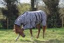Cavvalure zebra print fly rug on horse – full view