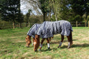 Cavvalure zebra print fly rug on horse – rear view