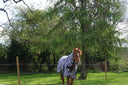 Cavvalure zebra print fly rug – pattern and neck coverage