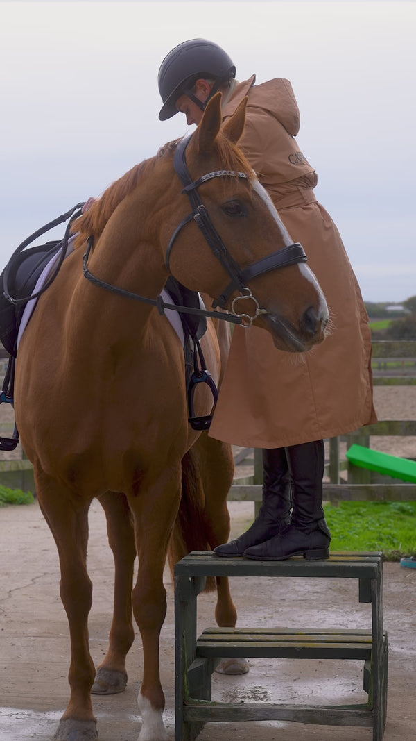 Valora Waterproof RipStop Riding Trench coat